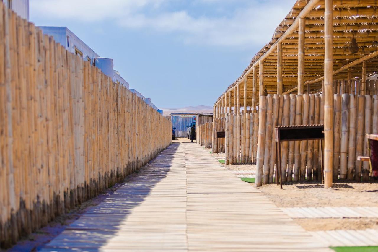 Bamboo Paracas